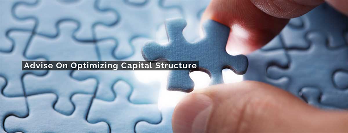 optimizing capital structure by Tehran Consulting Partners